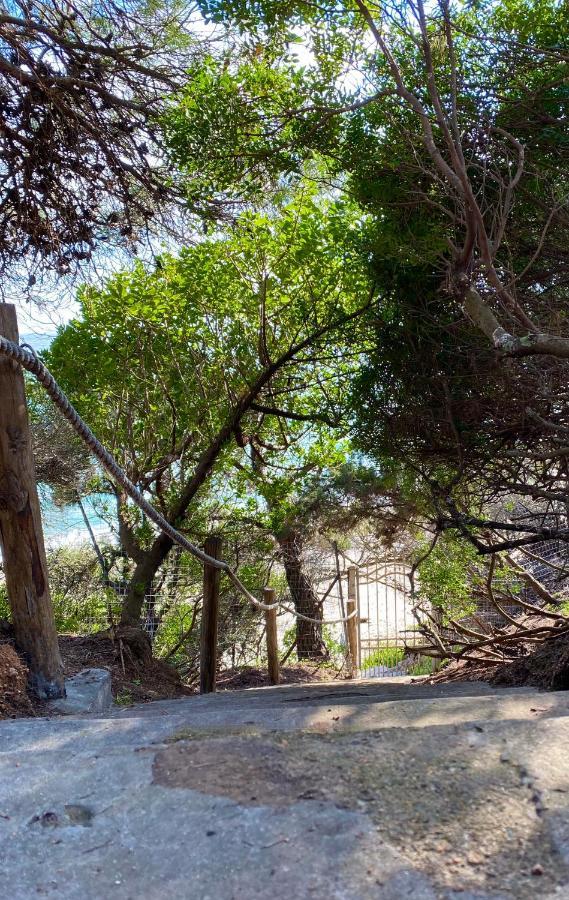 Villa Belinda 圣玛格利特迪普拉 外观 照片